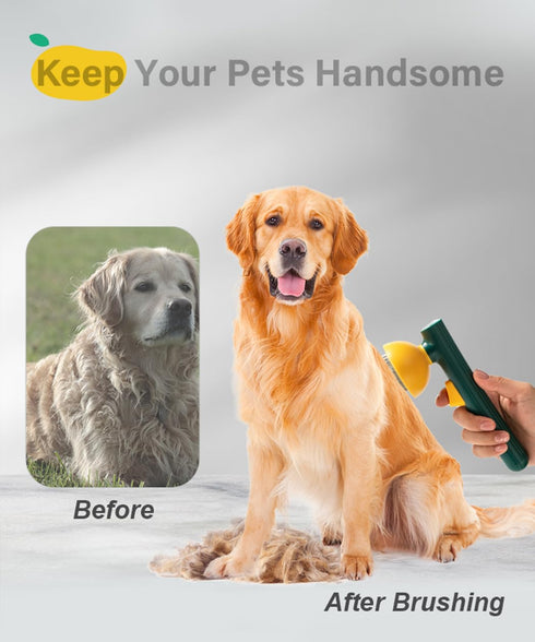 Cute Mango Self Cleaning Dog & Cat Brush for Shedding and Deshedding, Deep Cleaning Pet Brushes