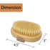Soft Bristle Dog Brush for Short Haired Cats Dogs with Elastic Band, Natural Bristle Dog Palm Brush for Cats Dogs Brush