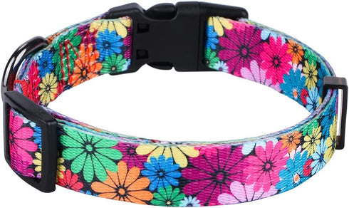 Rhea Rose Dog Collar for Small Dogs Floral Pattern for Girl boy Dogs Small