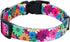 Rhea Rose Dog Collar for Small Dogs Floral Pattern for Girl boy Dogs Small
