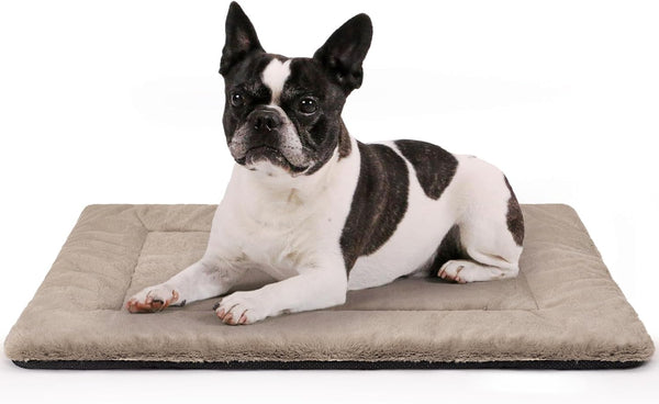 Dog Bed Mat - Washable Dog Crate Pad - Ultra Soft & Anti-Slip Medium Dog Bed Fit Dog Crates & Kennels, Suitable for