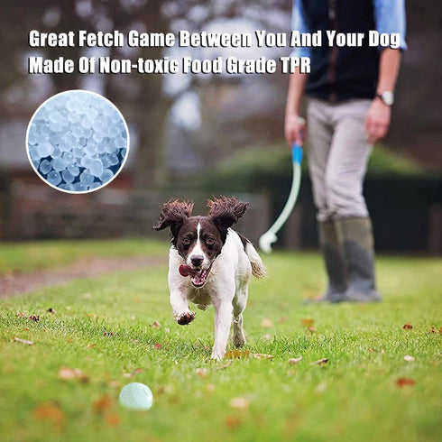 Dog Glow Ball Toy, Glow in The Dark Dog Toy Ball - 2 Pack