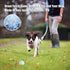 Dog Glow Ball Toy, Glow in The Dark Dog Toy Ball - 2 Pack