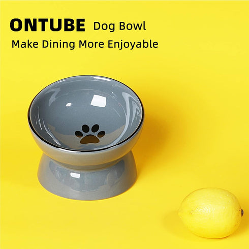 ONTUBE Ceramic Raised Cat Dishes or Small Dog Bowl, Pet Food or Water Bowls, 5.3-Inch 10oz (Gray)