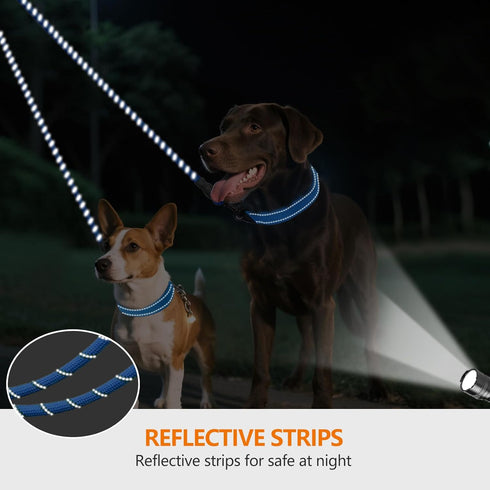 Taglory Double Dog Leash - Reflective Rope, No Tangle Design for Two Dogs, Puppy Small Medium Breeds, Blue
