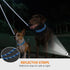 Taglory Double Dog Leash - Reflective Rope, No Tangle Design for Two Dogs, Puppy Small Medium Breeds, Blue