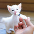 Baby Bird Feeding Syringe Set, 20ml Pet Parrot Milk Feeding Syringe with Tubes for Scientific Industrial Labs