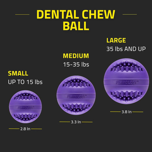 Playology Silver Dental Chew Ball Dog Toy, Medium for Senior Dogs (15-35lbs), All-Natural Pork Sausage Scent