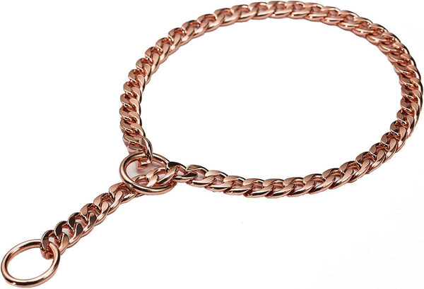 JYHY Stainless Steel P Chock Metal Chain Dog Necklace Collar, Walking Training Supplies for Small Medium Large Dogs