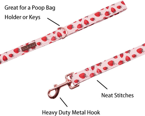 Lionet Paws Dog Leash - Matching Dog Collar for Small Medium Large Dogs