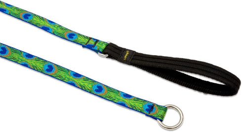 LupinePet Originals 3/4" Tail Feathers 6-foot Slip Lead/Leash for Medium and Larger Dogs