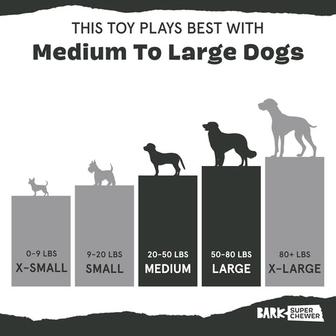 Barkbox Potato 2-in-1 Dog Toy, Tough Plush Squeaky Chew Toy for Large Dogs