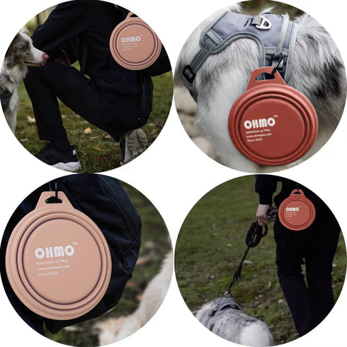 Large Collapsible Dog Bowls, 2 Pack 27oz/800ml Premium Silicone Portable Travel Feeding Bowls