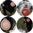 Large Collapsible Dog Bowls, 2 Pack 27oz/800ml Premium Silicone Portable Travel Feeding Bowls