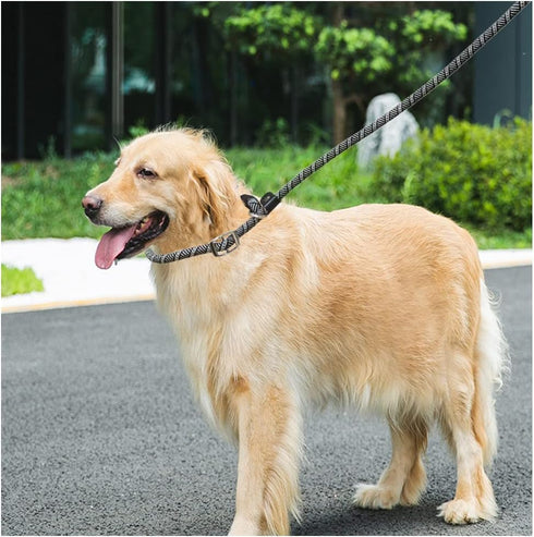 10FT / 20FT Long Slip Lead Dog Leash, 3/8" Thick Nylon Reflective Rope Anti-Choke Training Lead for Medium Large Dogs