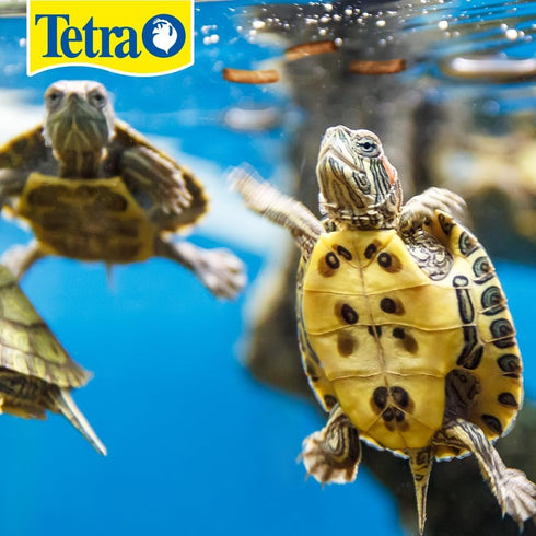 Tetra ReptoMin Floating Food Sticks, 10.59 oz, Food for Aquatic Turtles, Newts, and Frogs