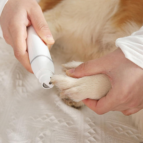 ChengyuWei Trimmer 3 Trimming 4 Electric Pet Hair Clipper, Low Noise Rechargeable Grooming Kit, Multifunctional