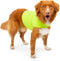 Dog Anxiety Calming Wrap, Small, Lime