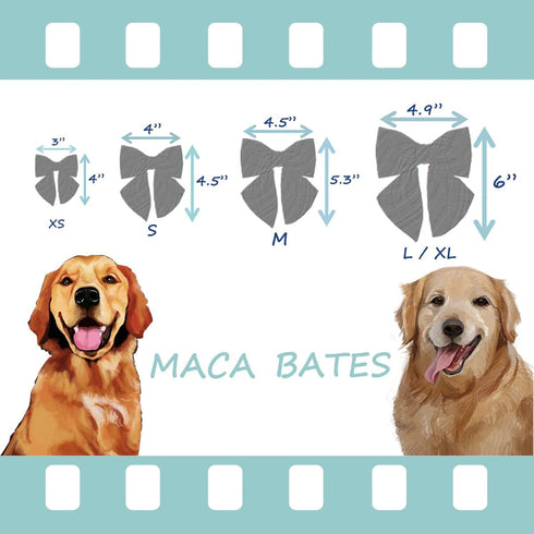 Maca Bates Dog Collar with Bow Tie for Dogs, Adjustable Breakaway Violet Collar Accessories for Small to XL Dogs