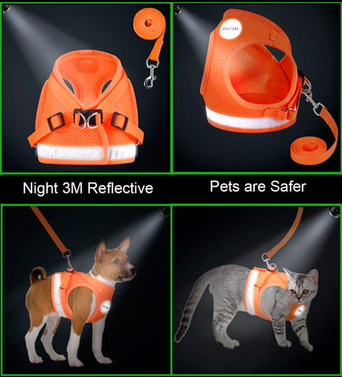 Cat Harnesses and Puppy Harness with Leashes Set, Adjustable Reflective Soft Mesh Vest for Outdoor Use, Escape Proof