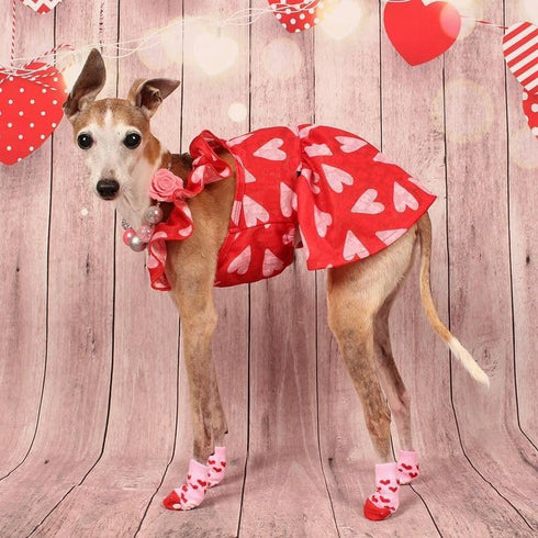 Fitwarm Valentines Day Sweet Heart Dog Dress, Holiday Outfit for Small Dogs Girl, Pet Cat Apparel, Red, Pink, Small