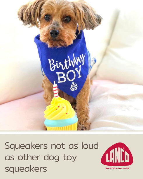 Lanco Handmade Dog Birthday Cake Toy - Squeaky Gift for Small Medium Large Dogs - 100% Natural Rubber