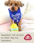 Lanco Handmade Dog Birthday Cake Toy - Squeaky Gift for Small Medium Large Dogs - 100% Natural Rubber