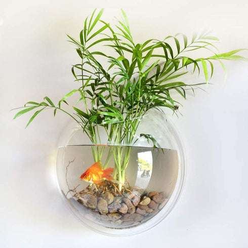 2PCS Wall Hanging Fish Tanks | Clear Acrylic Round Fish Tanks Flower Pot Vase for Hydroponics