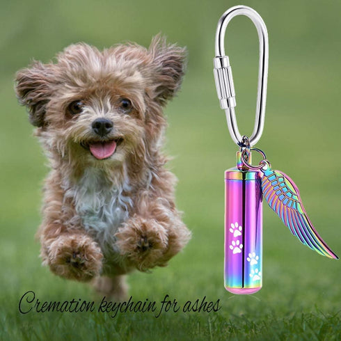 Yinplsmemory Paw Print Urn Keychain for Pet Ashes, Dog/Cat Cylinder Memorial Keepsake Keyring