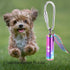 Yinplsmemory Paw Print Urn Keychain for Pet Ashes, Dog/Cat Cylinder Memorial Keepsake Keyring