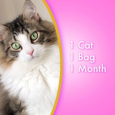 Ultra Micro Crystals Premium Cat Litter, 15 lbs total, 99.9% Dust Free, Soft on Paws, Fragrance Free
