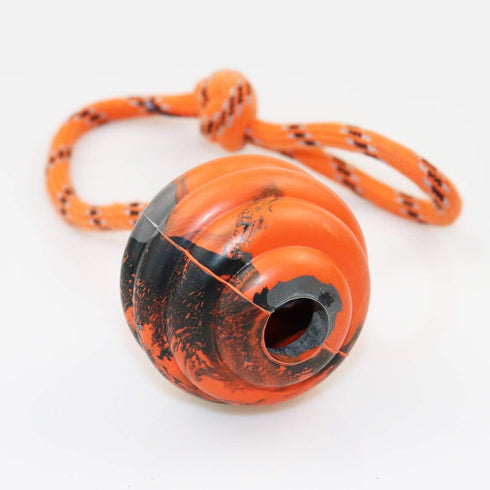 2Pcs Dog Training Ball on Rope, Exercise and Reward Toy for Chew Training, Tug Toy for Dogs