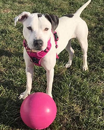 8 Inches, Jolly Pets Bounce-n-Play Dog Toy Ball, Pink, All Breed Sizes