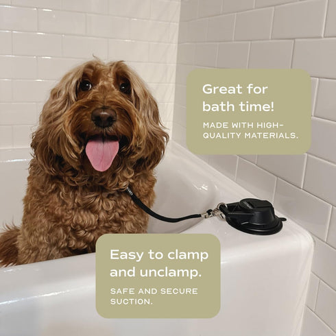 Heavy Duty Suction Cup Dog Leash to Keep Them in Place for Bath Time and Grooming with Adjustable Loop