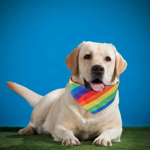 Generic Rainbow Bandana Dog Cat Pets Collar Bibs Pride Day Party LGBT Pet Scarf Fabric Cute Decoration Accessories