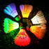 Inngree LED Badminton Birdies, LED Colourful Shuttlecock Dark Night Goose Feather Glow Birdies Lighting Outdoor Indoor