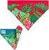 Max & Molly 2-in-1 No-Tie Reversible Pet Bandana for Collars - Vibrant Designs, Durable & Machine-Washable - Slide-On Fabric Accessory for Cats & Dogs - Stylish Scarf Bib, Tropical, M/L