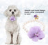 Dog Pet Necklace, Elastic Adjustable Stylish Simulation Pearl Flower Collar for Cat Puppy Jewelry Accessory Theme Party