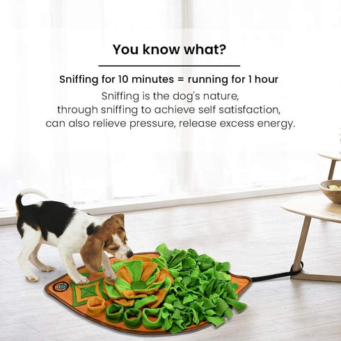 AWOOF Snuffle Mat for Dogs - Interactive Nosework Feeding Mat, Pet Puzzle Toy for Training and Stress Relief