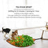 AWOOF Snuffle Mat for Dogs - Interactive Nosework Feeding Mat, Pet Puzzle Toy for Training and Stress Relief