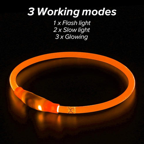 Flashseen LED Dog Collar - USB Rechargeable Glowing Lighted Collar, Water-Resistant TPU Safety Lights for Dogs