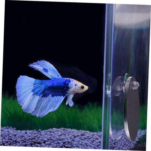 Beta Fish Tank Accessories Set, 1 Betta Training Mirror Double Sided Acrylic Float 6cm
