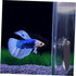 Beta Fish Tank Accessories Set, 1 Betta Training Mirror Double Sided Acrylic Float 6cm