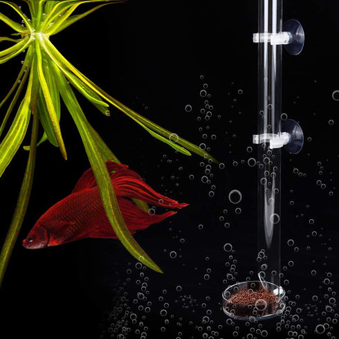 Acrylic Shrimp Feeding Tube and Dish Set, Bowls for Fish Aquarium Shrimp with 2 Suction Cups (Tube Length 20cm)