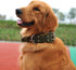 Buckle Dog Collar, 1.5 Wide Adjustable Nylon Military Tactical, Heavy Duty Dog Collar