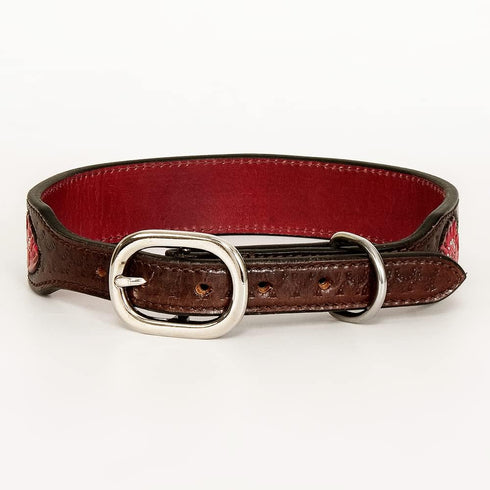 HILASON Brown Medium Strong Genuine Leather Dog Collar | Painted Medium | Leather Dog Collar | Dog Collar