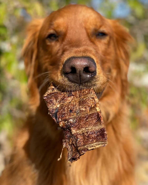 9 oz Redbarn Pet Products Natural Choppers Beef Lung Chew Treats for Dogs - Premium Made in USA Rawhide-Free Single