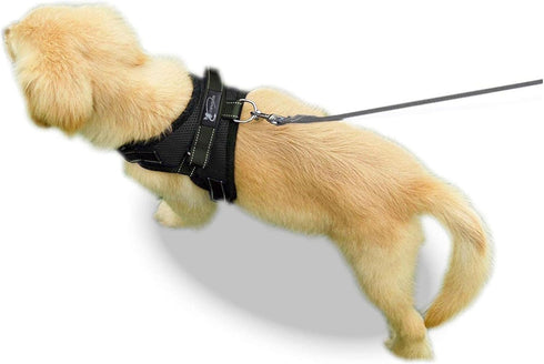 No Pull Reflective Adjustable Dog Harness with Handle - Comfortable Soft Mesh for Small, Medium, Large Dogs
