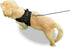 No Pull Reflective Adjustable Dog Harness with Handle - Comfortable Soft Mesh for Small, Medium, Large Dogs