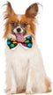 Polka Dot Pet Bowtie, Small/Medium